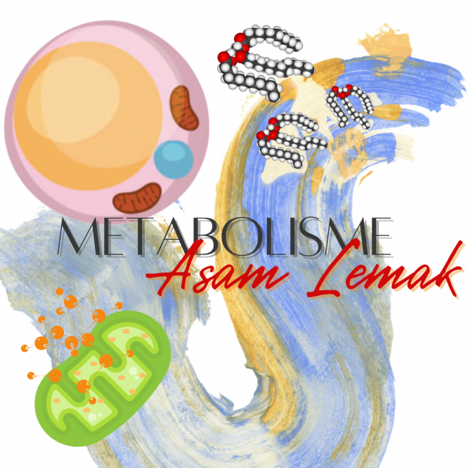 Metabolisme asam lemak