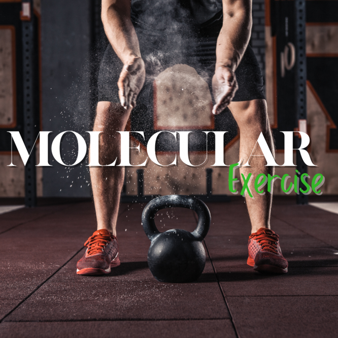 Molecular Exercise