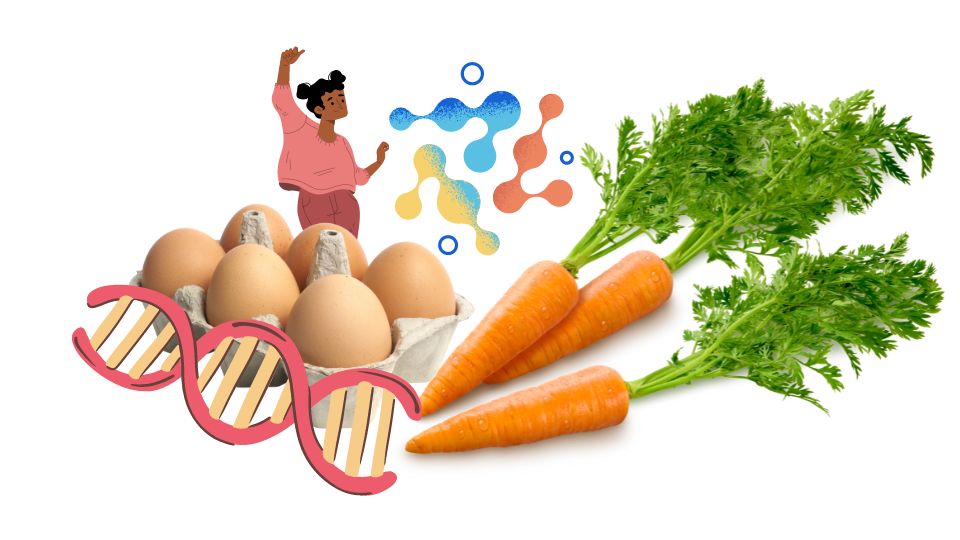 Beta Karoten atau Vitamin A, Bagaimana Mencukupi Kebutuhan Vitamin A Harian Berdasarkan Potensi Genetik ?